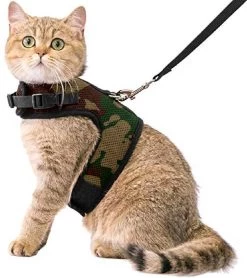 Kattentuigje Met Leiband Riem Kattenharnas Camouflage Maat L Kat & Kitten – Dieren Kattenriem – Cat Leash – Halsomvang 24 Tot 33cm – Borstomvang 36 Tot 41cm – Zootic®