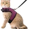 Kattentuigje Met Leiband Riem Kattenharnas Paars Maat L Kat & Kitten – Dieren Kattenriem – Cat Leash – Halsomvang 24 Tot 33cm – Borstomvang 36 Tot 41cm – Zootic® -Dierenbenodigdheden Promotie 1065x1200