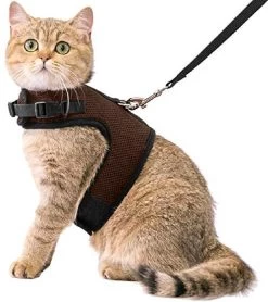 Kattentuigje Met Leiband Riem Kattenharnas Bruin Maat M Kat & Kitten – Dieren Kattenriem – Cat Leash – Halsomvang 20 Tot 26cm – Borstomvang 30 Tot 34cm – Zootic®