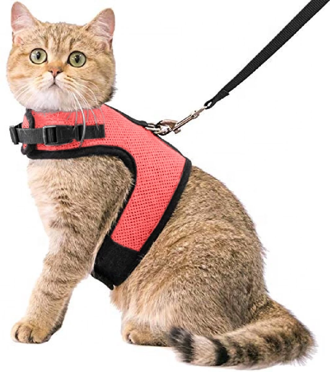 Kattentuigje Met Leiband Riem Kattenharnas Roze Maat L Kat & Kitten – Dieren Kattenriem – Cat Leash – Halsomvang 24 Tot 33cm – Borstomvang 36 Tot 41cm – Zootic® 3 Kattentuigje Met Leiband Riem Kattenharnas Roze Maat L Kat & Kitten – Dieren Kattenriem – Cat Leash – Halsomvang 24 Tot 33cm – Borstomvang 36 Tot 41cm – Zootic®