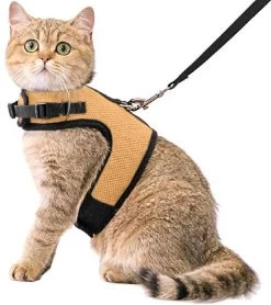 Kattentuigje Met Leiband Riem Kattenharnas Beige Maat L Kat & Kitten – Dieren Kattenriem – Cat Leash – Halsomvang 24 Tot 33cm – Borstomvang 36 Tot 41cm – Zootic®