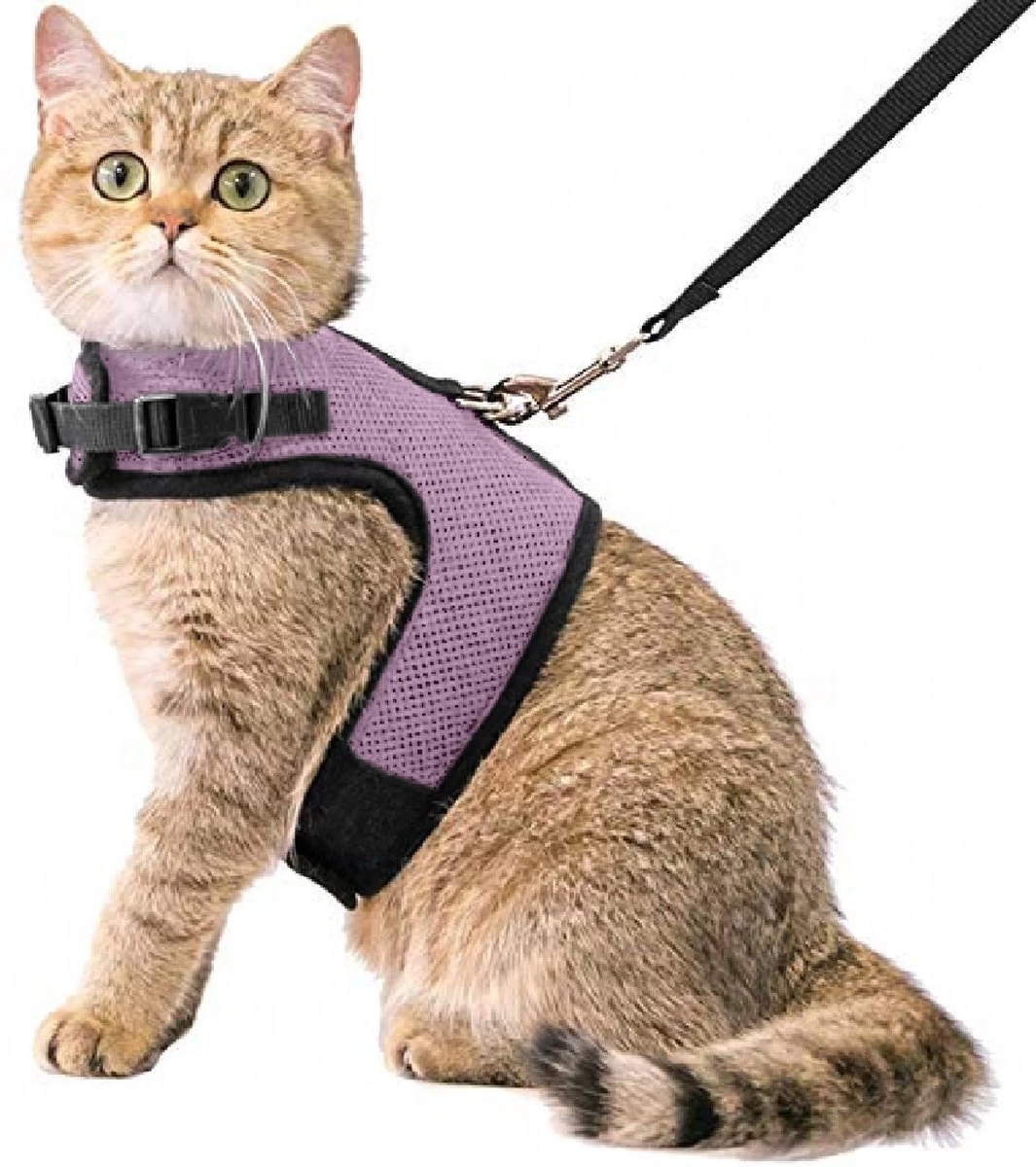 Kattentuigje Met Leiband Riem Kattenharnas Licht Paars Maat L Kat & Kitten – Dieren Kattenriem – Cat Leash – Halsomvang 24 Tot 33cm – Borstomvang 36 Tot 41cm – Zootic® 3 Kattentuigje Met Leiband Riem Kattenharnas Licht Paars Maat L Kat & Kitten – Dieren Kattenriem – Cat Leash – Halsomvang 24 Tot 33cm – Borstomvang 36 Tot 41cm – Zootic®