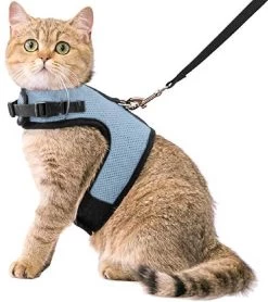 Kattentuigje Met Leiband Riem Kattenharnas Blauw Variant Maat M Kat & Kitten – Dieren Kattenriem – Cat Leash – Halsomvang 20 Tot 26cm – Borstomvang 30 Tot 34cm – Zootic®