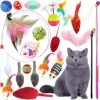 PietyPet Kitty Kattenspeelgoed, Kattenspeelgoed Voor Katten, 18 Stuks -Dierenbenodigdheden Promotie 1200x1196