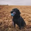 Beco Bal Aan Touw Voor Honden – Duurzaam En Ecologisch Afbreekbaar Hondenspeelgoed – Kleur: Blauw, Maat: Large 1 Beco Bal Aan Touw Voor Honden – Duurzaam En Ecologisch Afbreekbaar Hondenspeelgoed – Kleur: Blauw, Maat: Large -Dierenbenodigdheden Promotie 1200x1200 11