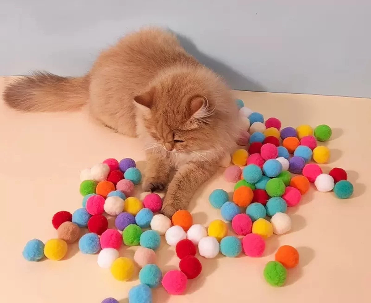 Grappige Kat Interactieve Aandacht 100 Ballen Schieten Springen Training Speelgoed Creatieve Kitten Mini Pompons Spellen 3 Grappige Kat Interactieve Aandacht 100 Ballen Schieten Springen Training Speelgoed Creatieve Kitten Mini Pompons Spellen