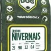 Yourdog Griffon Nivernais Volwassen (3 KG) -Dierenbenodigdheden Promotie 593x1200 3