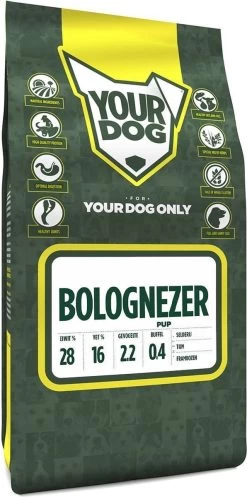 Bolognezer