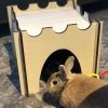 Konijnenhok | Speelhuisje | Speelgoed Voor Dieren |Konijn | Kat | Kasteel | 36cm X 36cm X 30cm -Dierenbenodigdheden Promotie 899x1200