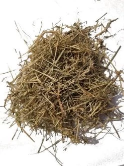 Hooi | Knaagdieren | Vers Product | Oogst 2022 | Voeding | 6 Kg |