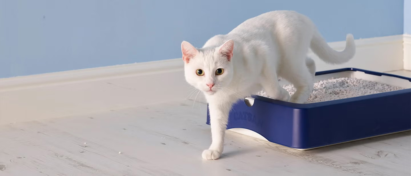 Dierenbenodigdheden Promotie -Dierenbenodigdheden Promotie 1